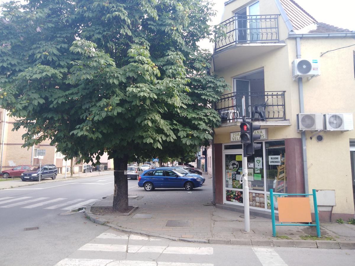 Veliki Park Villa ชาบาซ ภายนอก รูปภาพ